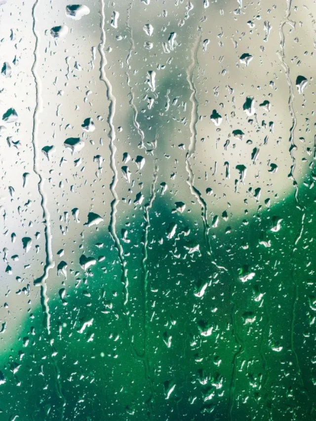 New York City's Record Rainfall: Climate Change's Wrath Unleashed